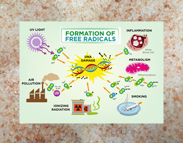 The Benefits of Negative Ions for Free Radicals